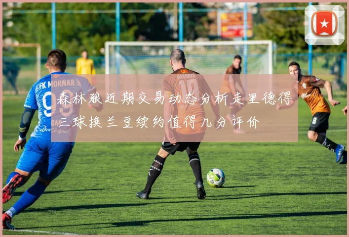 森林狼近期交易动态分析走里德得三球换兰豆续约值得几分评价